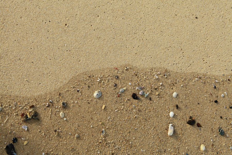 A scattered line of shells and grit marks the tide's reach across smooth sand
